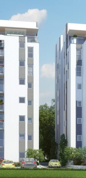 הדמיית יום שקד 37-39